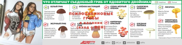 дживик Алзамай