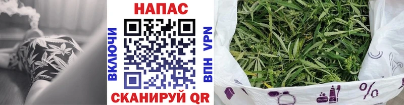 Конопля марихуана Слободской
